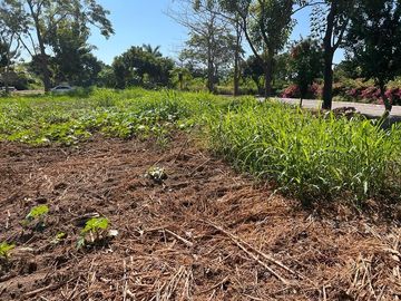 VENTA TERRENO CEIBA