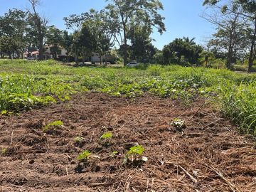 VENTA TERRENO CEIBA