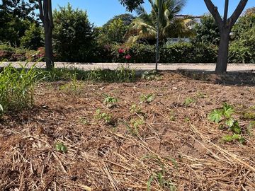 VENTA TERRENO CEIBA
