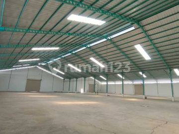 Disewakan Gudang Brand New Di Gunung Sindur Bogor