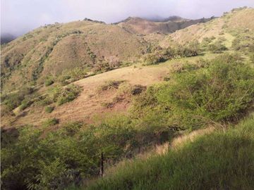 VENDE EXCELENTE FINCA AGRICOLA EN DAGUA VALLE DEL CAUCA