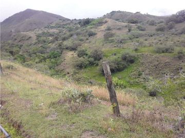 VENDE EXCELENTE FINCA AGRICOLA EN DAGUA VALLE DEL CAUCA