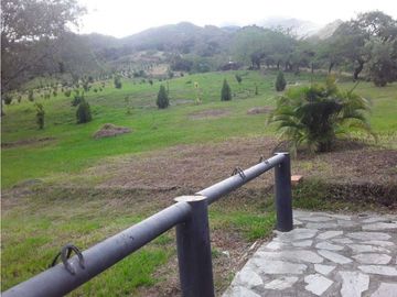 VENDE EXCELENTE FINCA AGRICOLA EN DAGUA VALLE DEL CAUCA