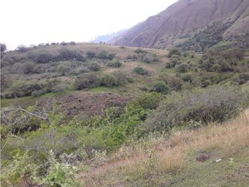 VENDE EXCELENTE FINCA AGRICOLA EN DAGUA VALLE DEL CAUCA