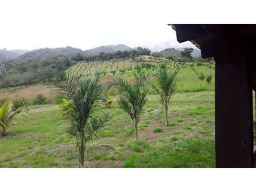 VENDE EXCELENTE FINCA AGRICOLA EN DAGUA VALLE DEL CAUCA