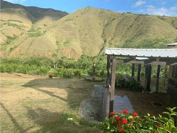 VENDE EXCELENTE FINCA AGRICOLA EN DAGUA VALLE DEL CAUCA