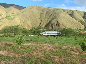VENDE EXCELENTE FINCA AGRICOLA EN DAGUA VALLE DEL CAUCA