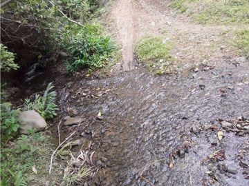 VENDE EXCELENTE FINCA AGRICOLA EN DAGUA VALLE DEL CAUCA