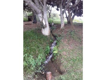 VENDE EXCELENTE FINCA AGRICOLA EN DAGUA VALLE DEL CAUCA
