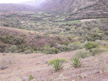 VENDE EXCELENTE FINCA AGRICOLA EN DAGUA VALLE DEL CAUCA