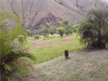 VENDE EXCELENTE FINCA AGRICOLA EN DAGUA VALLE DEL CAUCA