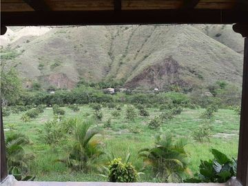 VENDE EXCELENTE FINCA AGRICOLA EN DAGUA VALLE DEL CAUCA