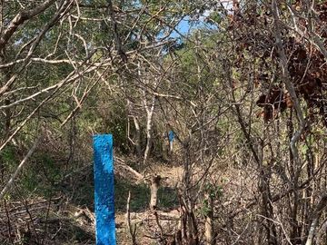 TERRENO EN VENTA EN MISNEBALAM,Yucatan