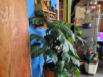 Venta Casa en Tlahuac
