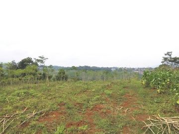 Tanah Jatinangor; belakang kampus Unpad 1 Jutaan/m
