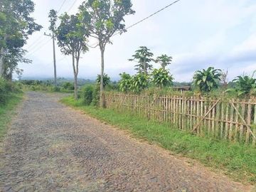 tanah lahan kebun jeruk produktif