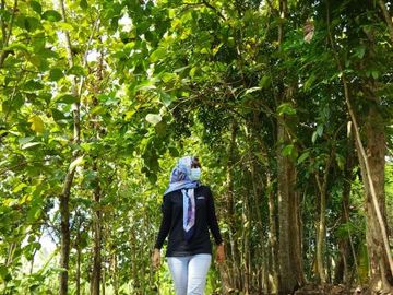 Rumah Kavling Dkt klurahan Banyuroto bsa dibantu KPR.