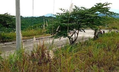 257 Sqm Residential Lot for Sale in Vista Verde Consolacion Cebu with Mountain View