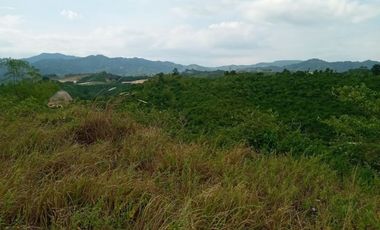 257 Sqm Residential Lot for Sale in Vista Verde Consolacion Cebu with Mountain View