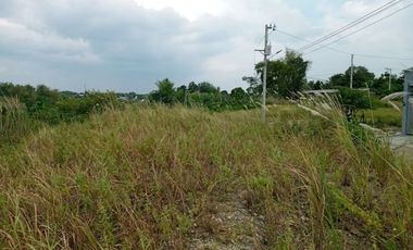 257 Sqm Residential Lot for Sale in Vista Verde Consolacion Cebu with Mountain View