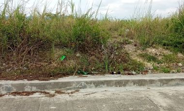 257 Sqm Residential Lot for Sale in Vista Verde Consolacion Cebu with Mountain View