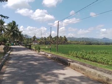 Tanah Dijual SHM, 5 Menit SMAN 3 Purworejo
