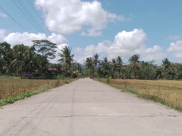 Tanah Dijual SHM, 5 Menit SMAN 3 Purworejo