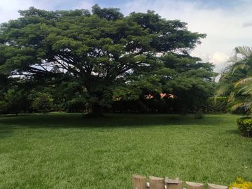 casa en venta en la morada. Cod V16787