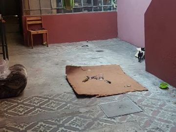 Casa en venta en Lanus Este