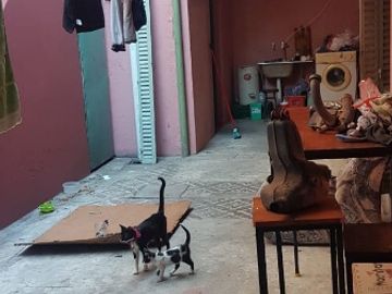 Casa en venta en Lanus Este