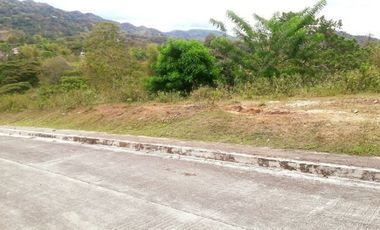 Overlooking 204 Sqm Lot for Sale in Greenwoods near Talamban Cebu City with Mountain View