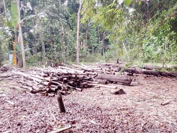 Rumah Murah Di Griya Karta Nirwana Prambanan