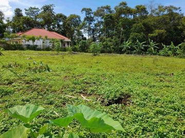 Kawasan Perumahan Griya Tanjungsari SHM Pekarangan