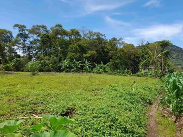 Kawasan Perumahan Griya Tanjungsari SHM Pekarangan