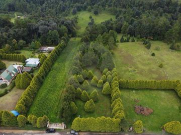 Finca en venta en Catalina