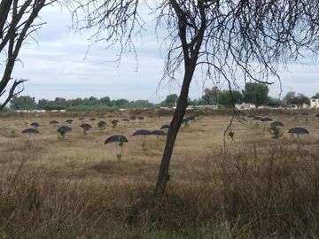 Rancho en Venta en Silao