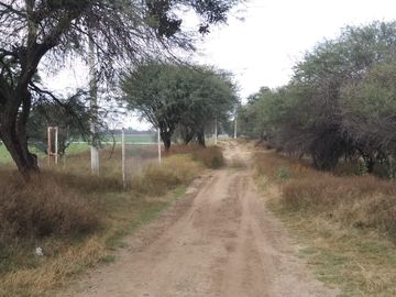 Rancho en Venta en Silao
