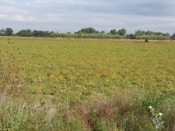 Rancho en Venta en Silao