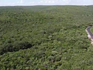 Terreno en venta San Carlos Tamaulipas