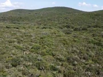 Terreno en venta San Carlos Tamaulipas