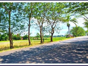 Cicil Tanpa Bunga, Tanah SHM di Tepi Jalan Aspal