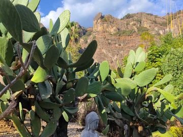 Vendo preciosa propiedad con vista panorámica a las montañas en Tepoztlán Morelo