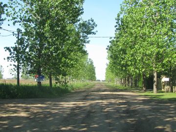 Lote en venta (sector quintas residenciales)