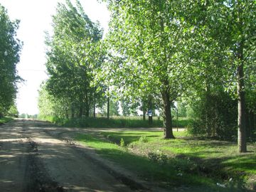 Lote en venta (sector quintas residenciales)