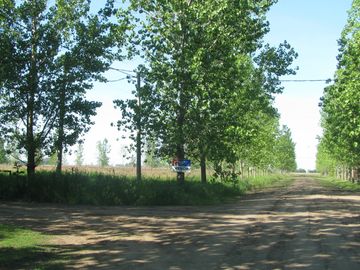 Lote en venta (sector quintas residenciales)