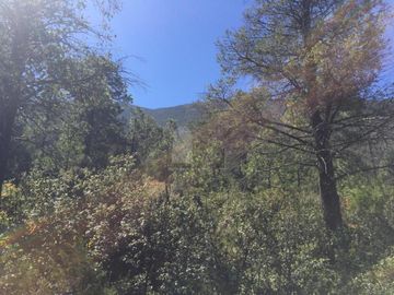 Terreno en venta en Los Lirios Sierra de Arteaga Coahuila Cerro de la Viga