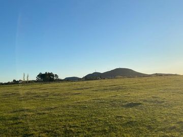Chacra  suburbana de 12 hectáreas en  Minas. Campos Uruguay
