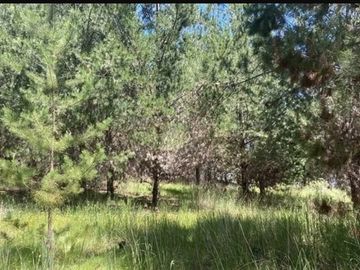 Parcela en venta en Pichilemu