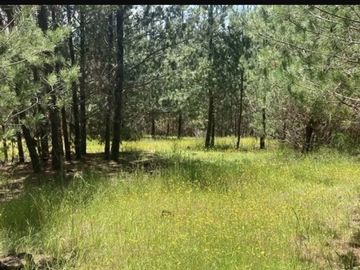 Parcela en venta en Pichilemu