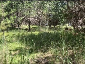 Parcela en venta en Pichilemu